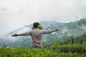 A man embraces the misty, serene landscape of a lush tea plantation.