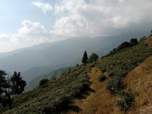 Tranquil rolling hills and mountains under a cloudy sky, ideal for nature enthusiasts.